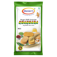 khakhara-mini-ginger-chilli-coriander